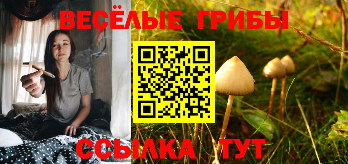 Псилоцибиновые грибы Psilocybine cubensis  Вход с VPN  Малгобек  где купить наркотик  Псилоцибиновые грибы Magic Shrooms 
